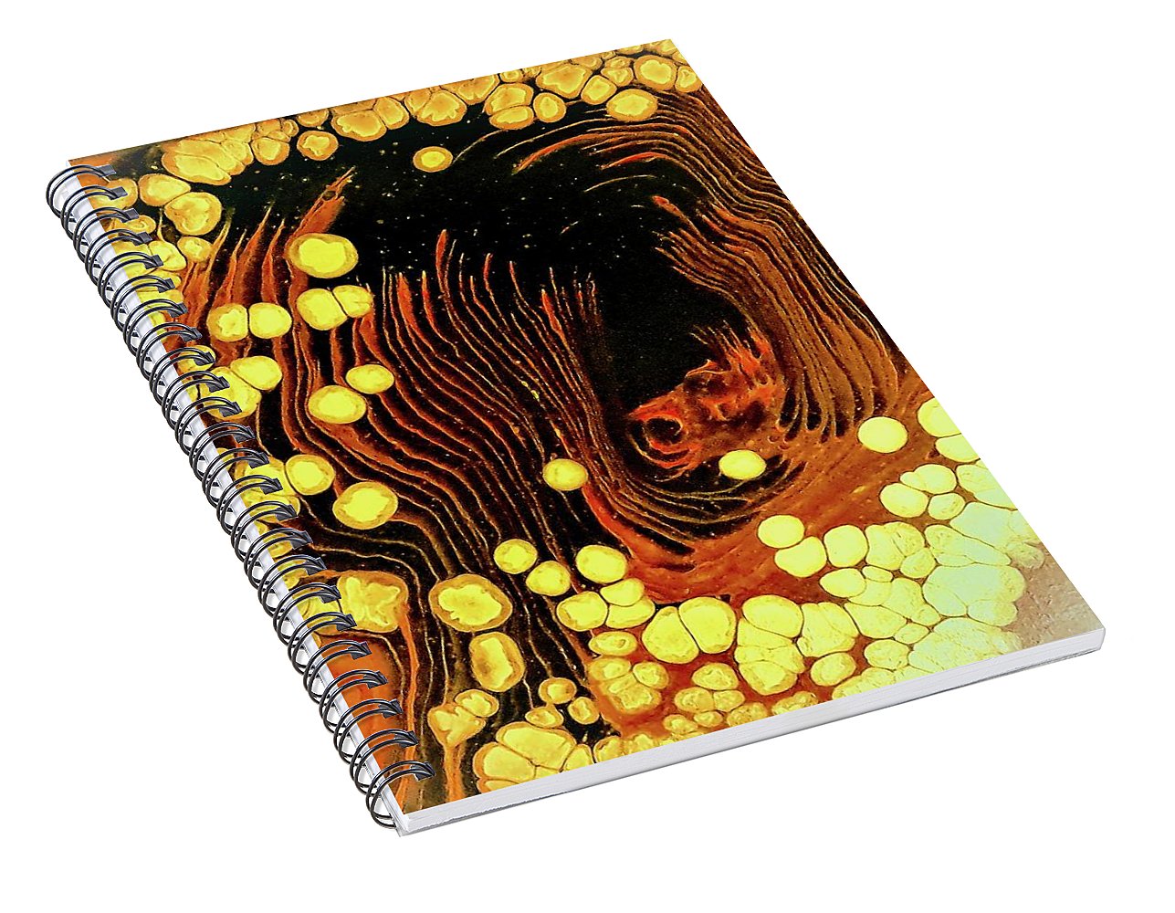 Reckoning - Fine Art Print Spiral Notebook