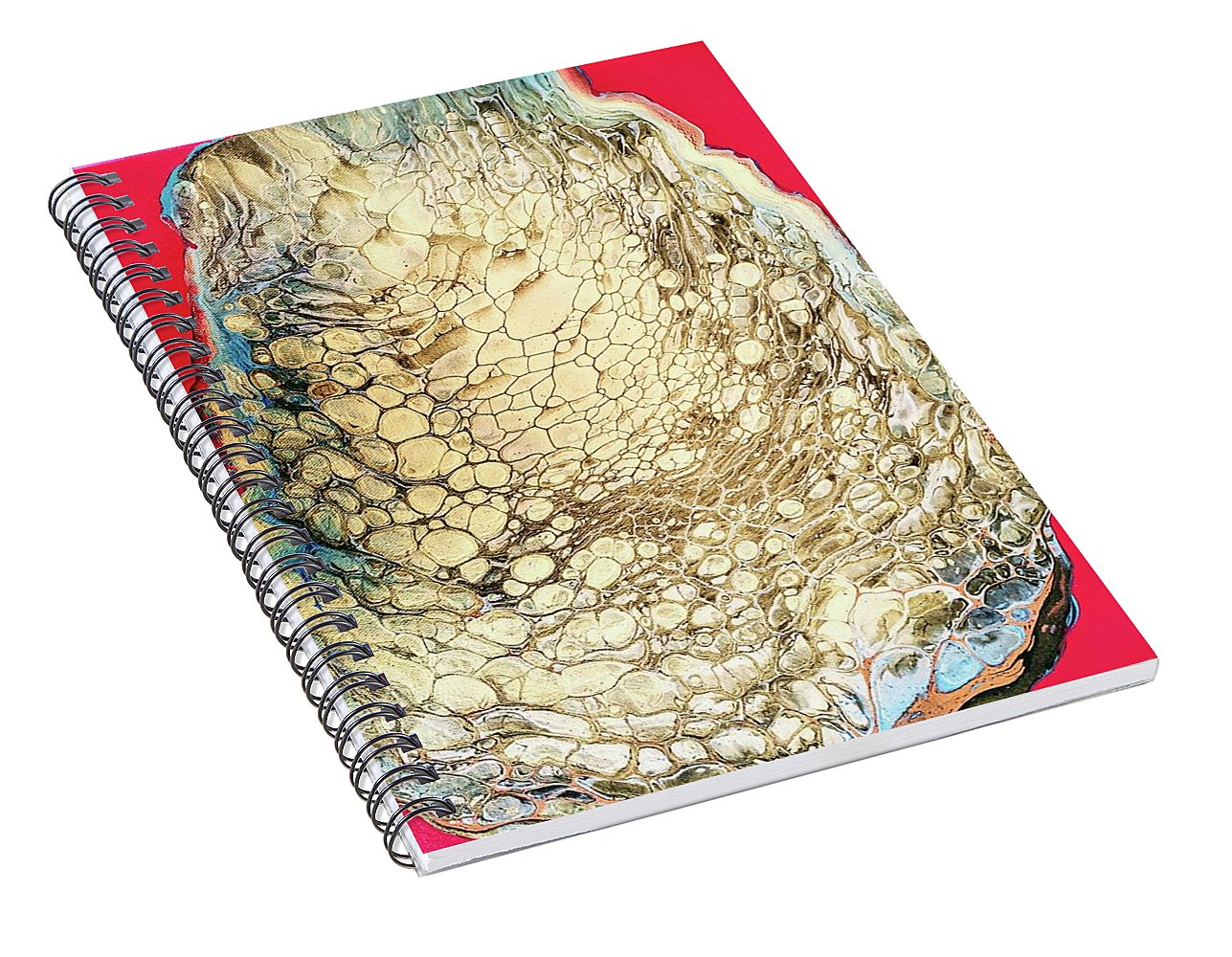 Terrapin - Fine Art Print Spiral Notebook